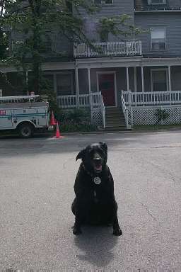 moley in front of lisa and chris's old house